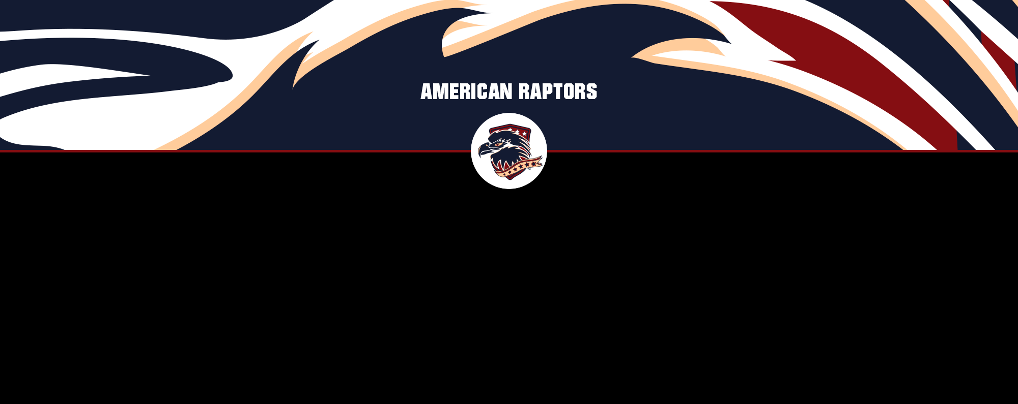 American Raptors banner