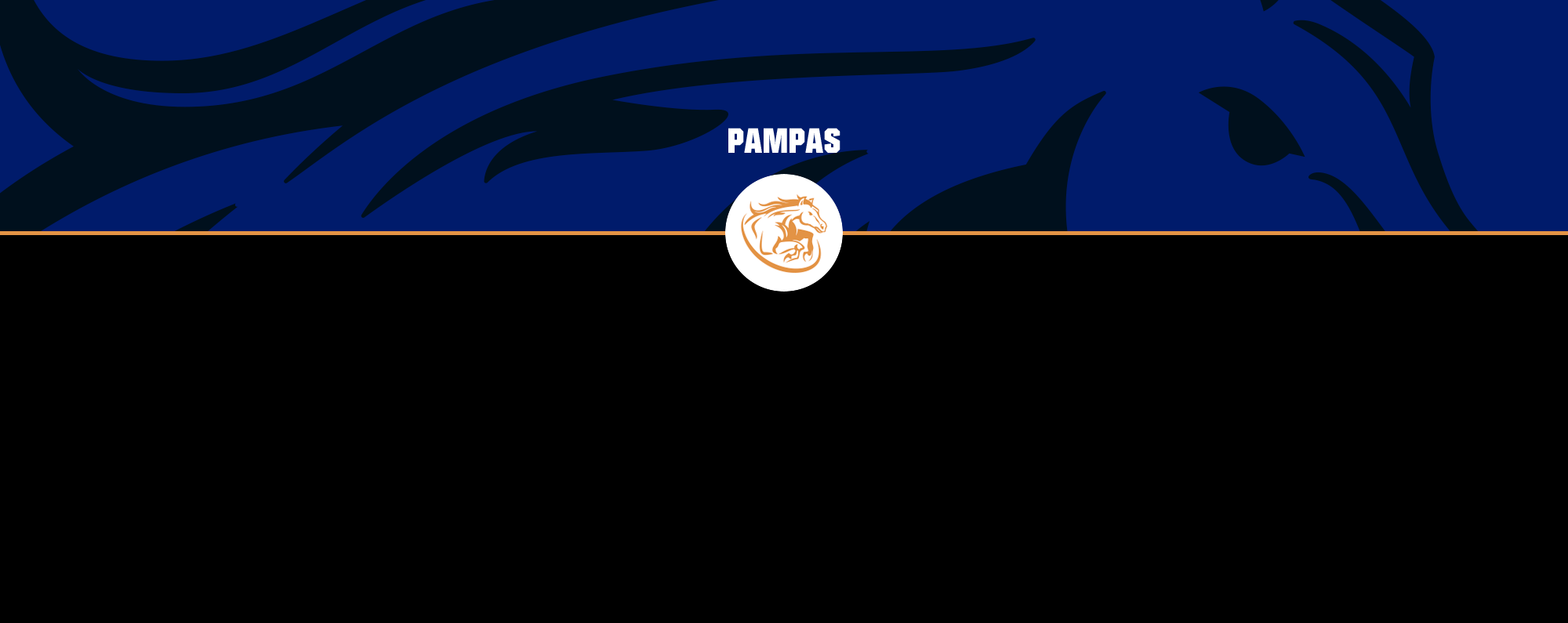 Pampas banner